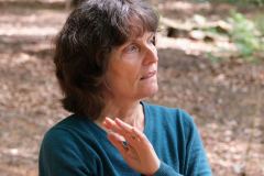 Gitta Radtke spricht über Bäume und deren Sensibilität