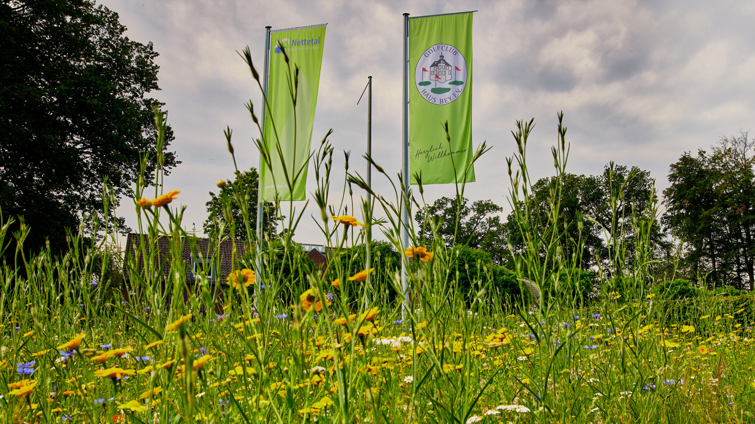 blumenwiese-vor-golfverein-flagge