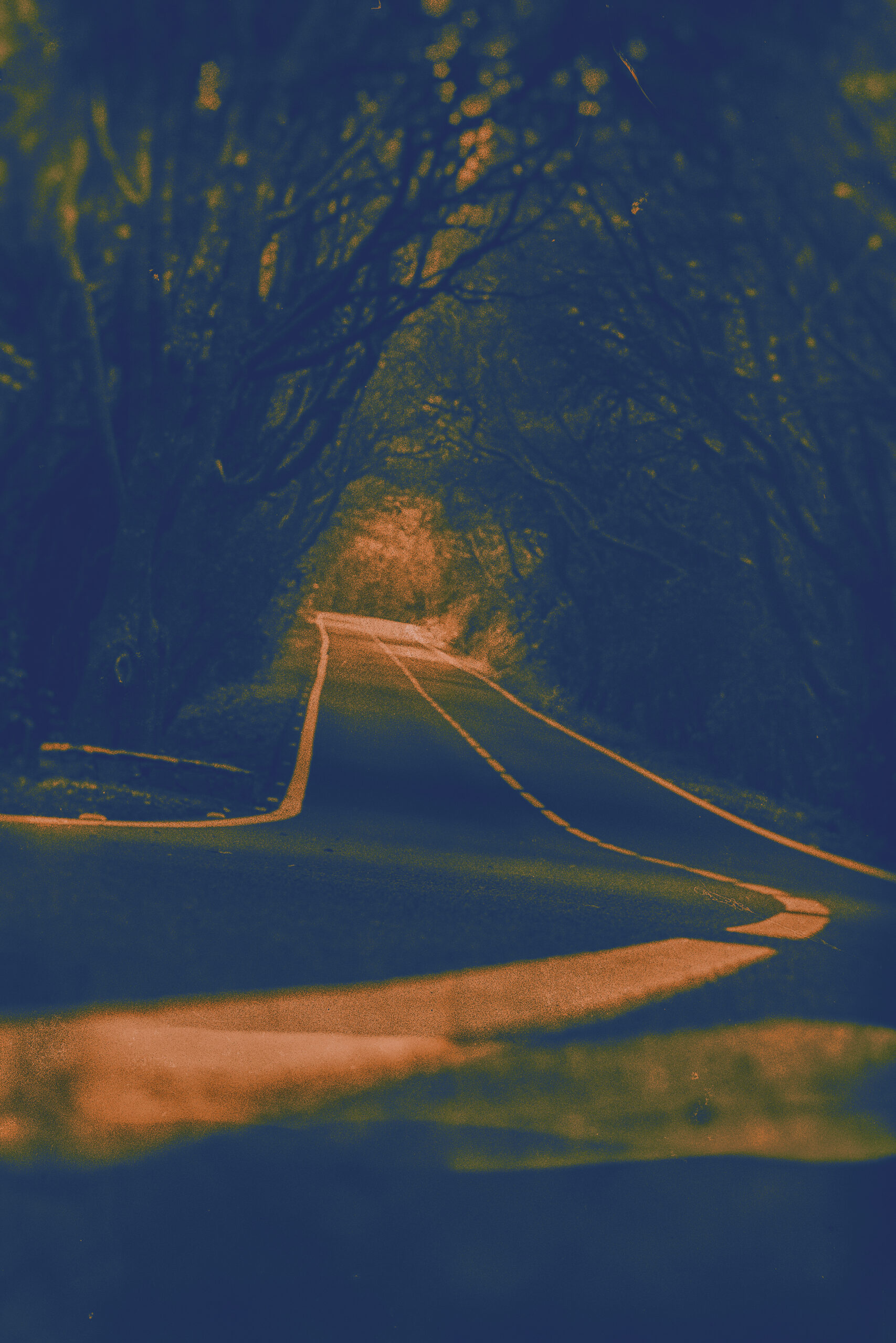 Kurve einer Allee im Vordergrund, lange Gerade ins Licht, Zeitonfärbung in blau und orange