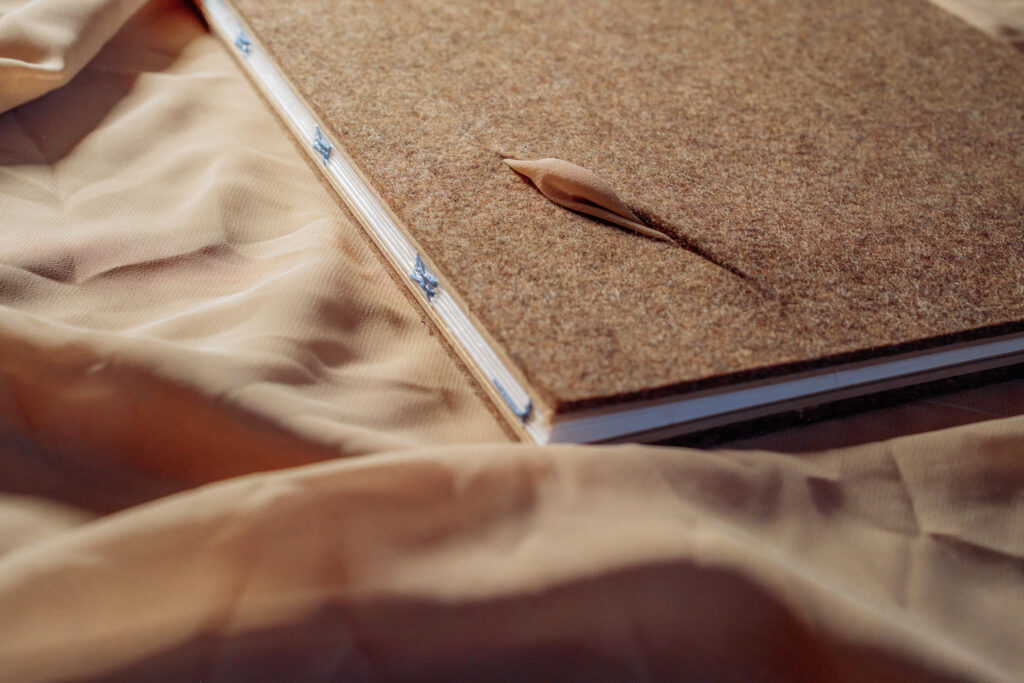 Störgeräusche, Schwankende Stille, Titelfoto des Beitrags, Buch mit Filzdeckel und und durch einen Schnitt im Filz sichtbar werdenden Chiffonstoff in beige gebunden mit offener Fadenheftung liegt auf Chiffonstoff